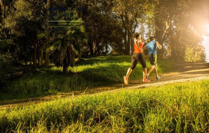 大揭秘|每天堅(jiān)持一萬(wàn)步，真的有用嗎？